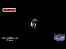 Load and play video in Gallery viewer, FISHES &amp; SEAHORSES
