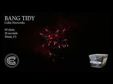 Load and play video in Gallery viewer, BANG TIDY
