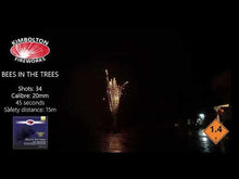 Load and play video in Gallery viewer, BEES IN TREES
