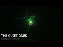 Load and play video in Gallery viewer, THE QUIET ONES
