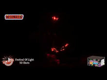 Load and play video in Gallery viewer, FESITVAL OF LIGHT
