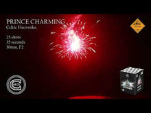 Load and play video in Gallery viewer, PRINCE CHARMING
