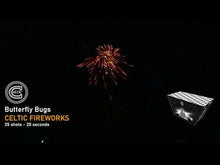 Load and play video in Gallery viewer, BUTTERFLY BUGS
