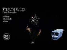 Load and play video in Gallery viewer, STEALTH RISING
