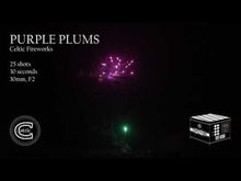 Load and play video in Gallery viewer, PURPLE PLUMS
