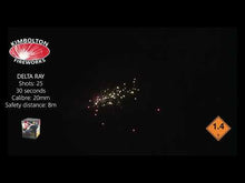 Load and play video in Gallery viewer, DELTA RAY
