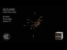 Load and play video in Gallery viewer, OCEANIC
