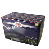 PEGASUS FLIGHT